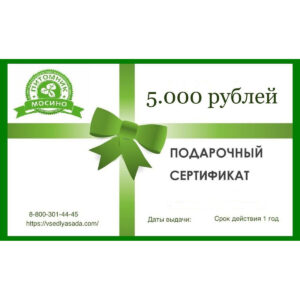 Саженец Подарочный сертификат на 5000 р купить во Владимире