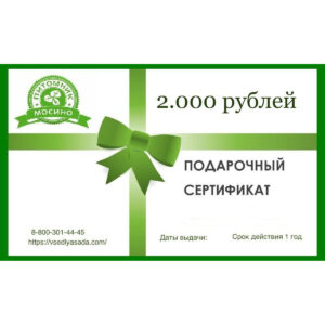 Саженец Подарочный сертификат на 2000 р купить во Владимире
